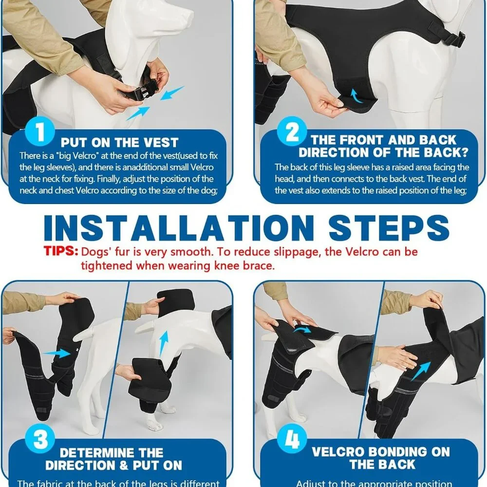 Dog Knee Brace for Torn Acl Hind Leg